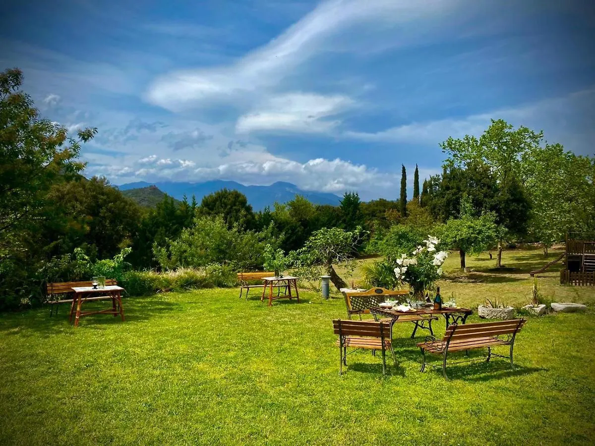 Masia Mimosa Completa Darnius Villa